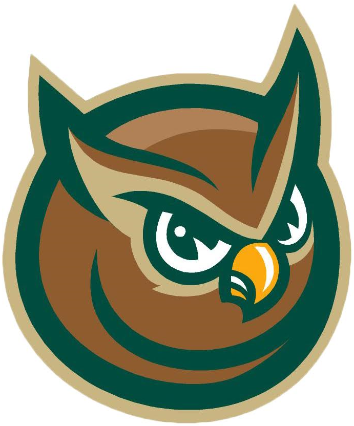 Forest City Owls 2008-Pres Alternate Logo iron on transfers for T-shirts